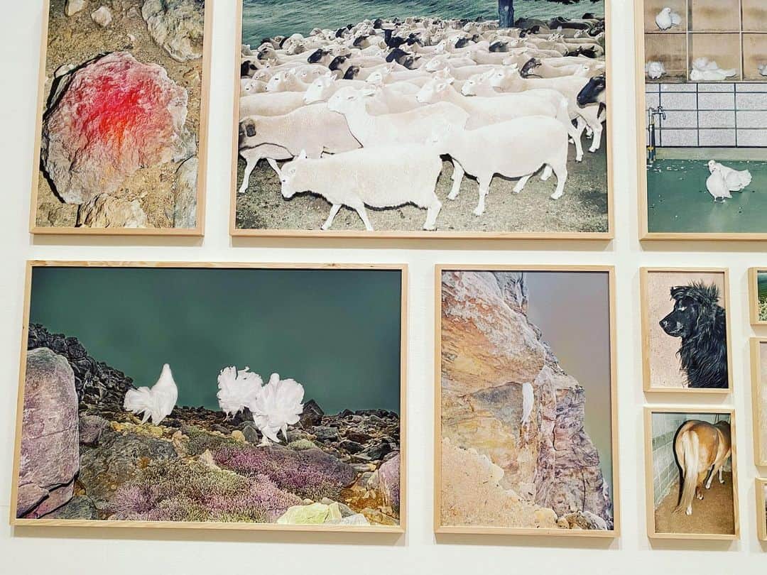 遠山正道のグルメインスタ