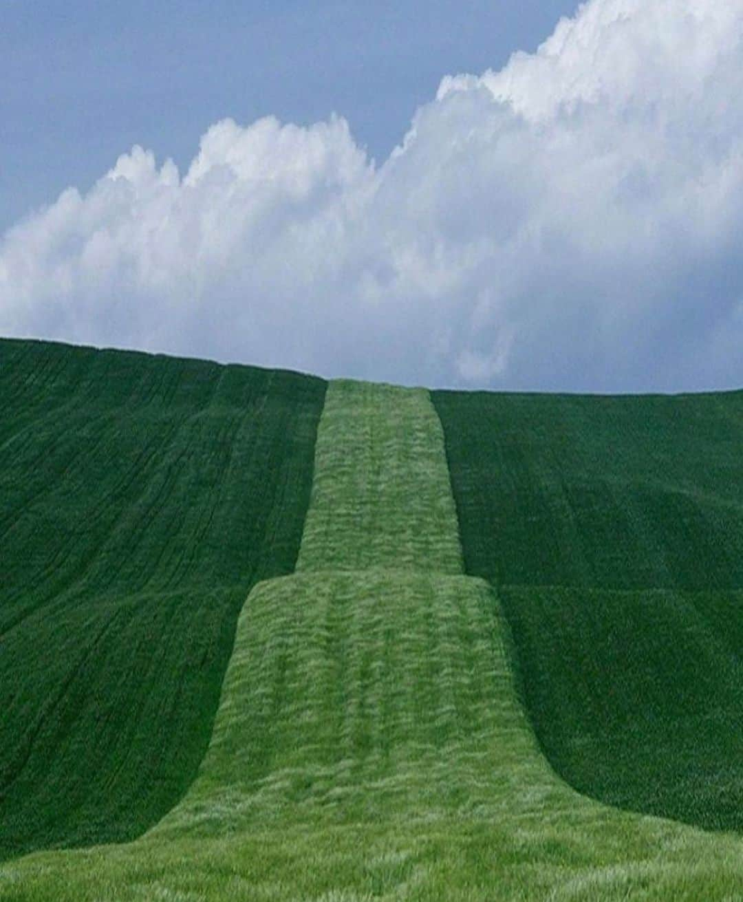 Luraのインスタグラム：「Landscape by photographer Franco Fontana.」