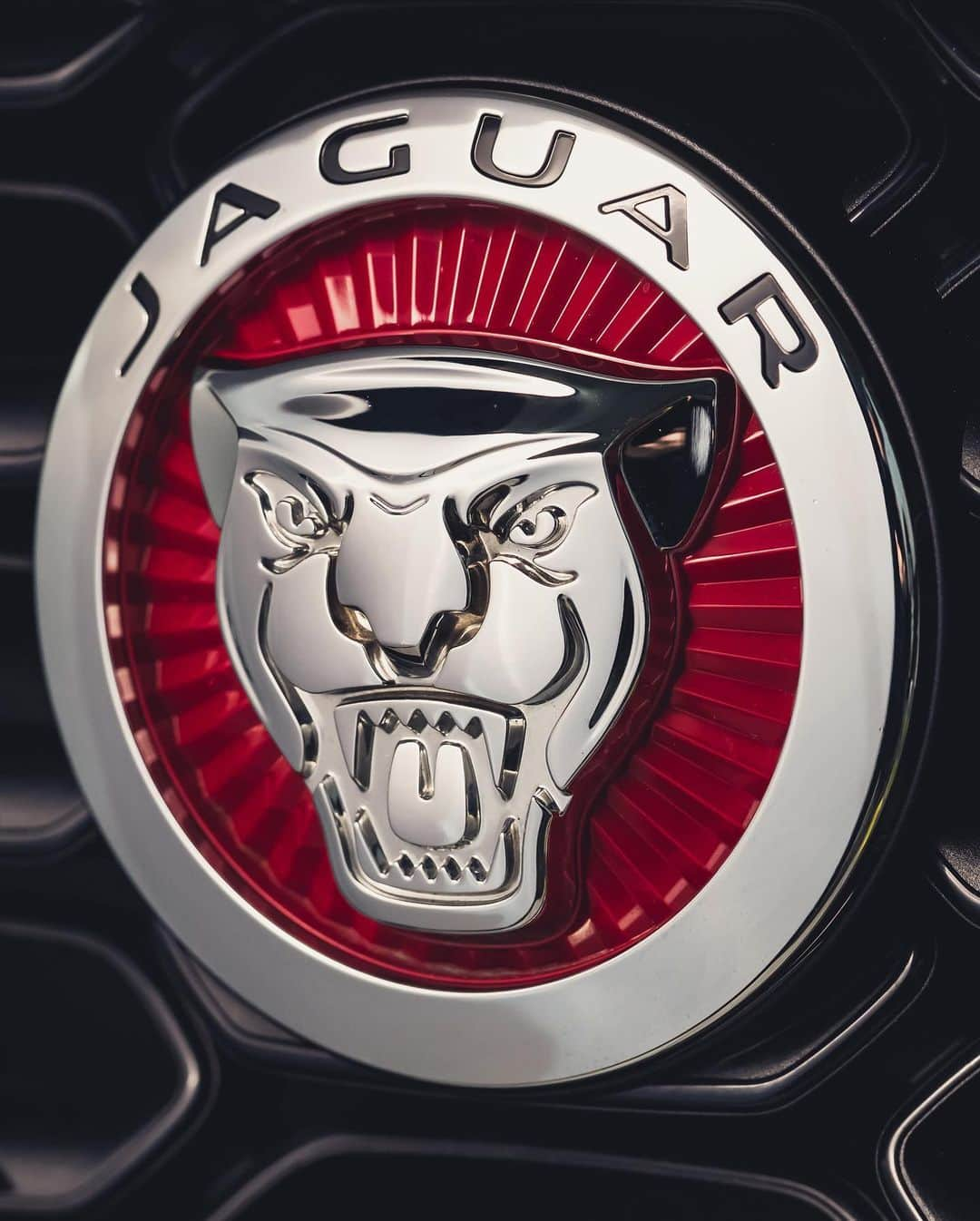 Jaguarさんのインスタグラム写真 - (JaguarInstagram)「A feast for the eyes. A thrill for the senses.  #Jaguar #FTYPE #Convertible #Premium #Luxury #Exclusive #Performance #Sport #SportsCar #CarsofInstagram #InstaCar」2月1日 20時57分 - jaguar