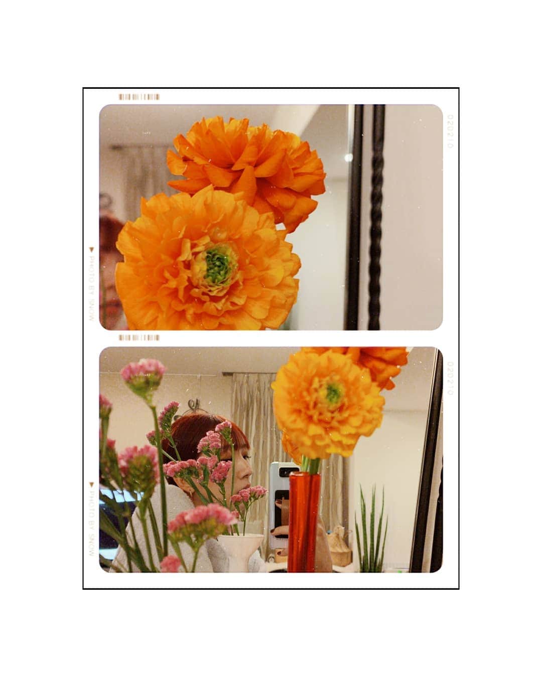 貴愛kwiae Officialのインスタグラム：「2月もよろしく😌 🌷🌸🌺🌻🌷🌸🌺🌻 今月もまだ会えませんが 来月あいましょう💫💫💫 あ、明日節分か👹 * * 13日はStreaming Live on Youtube 18:00から仲良しの 中津マオちゃんも ゲストで来てくれます✨ 見に来てね☀️☀️☀️ * * #flower #like  #2月 #February #節分 #👹 #よろしく #名前の知らないオレンジの花」