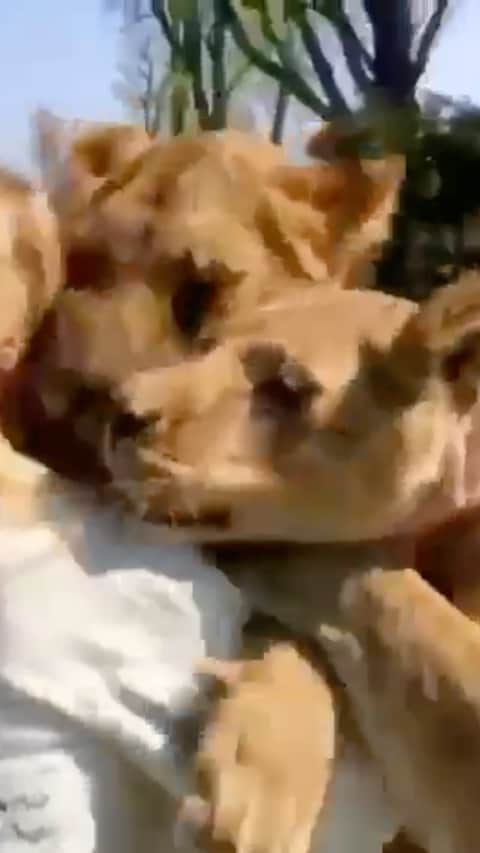 ハンナ・クインリヴァンのインスタグラム：「When you give out Love, Love comes back to you💕  #animalsareourbestfriends」