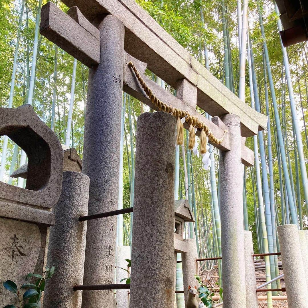 永倉由季さんのインスタグラム写真 - (永倉由季Instagram)「.﻿ .﻿ 馬が美しい🐎✨﻿ ﻿ 芸能・芸術・学問の神様がそろい踏み﻿ 👏 withおともだち﻿ ﻿ 清々しい御礼参りで﻿ 新たな月を迎えました﻿ ﻿ 逢えない人がまだまだいるけれど﻿ ずっと元気でいてほしい🤸‍♂️✨﻿ ﻿ ✅詳しくはアメブロにて ⬇︎﻿ ﻿ http://ameblo.jp/naga-yuki﻿ ﻿ ･━━･･━━･･━━･･━━･･━━ #学問の神様 #芸能の神様　#芸術の神様　#御礼参り　#新たな月　#はじまり　#神社参拝　#神社仏閣好き #馬　#神社好きな人と繋がりたい  #清々しい気持ちで #こんな#があるのね」2月1日 21時16分 - yuki_nagakura67