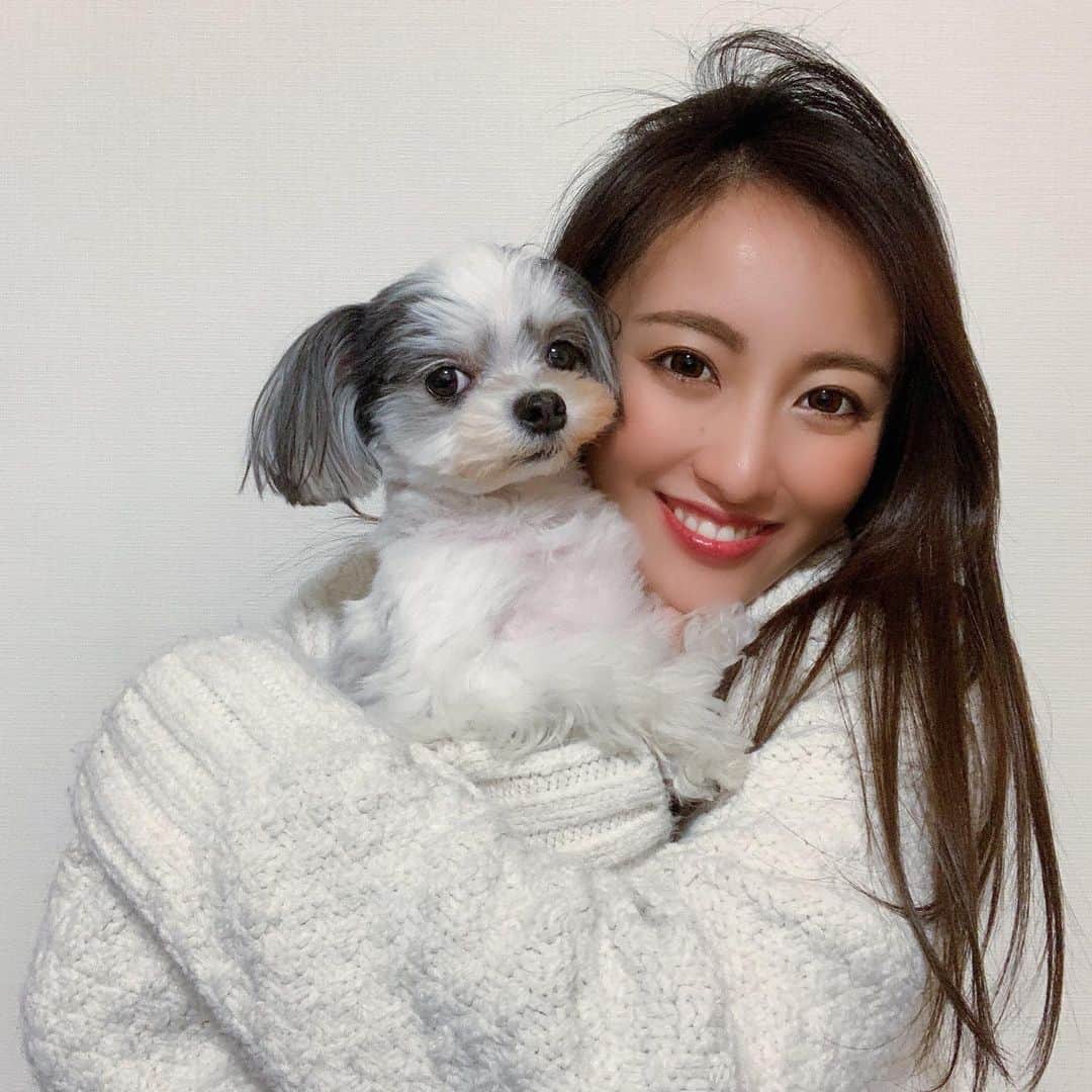 福野来夢のインスタグラム：「あっという間に2月になってた笑 相変わらず私もぺろりんも元気ですっ🐶🐾 お腹の赤ちゃんも元気みたいで 胎動が激しめになってきました👼 最近毎日、朝方足つって目覚めるので何か効果のある食べ物などがあれば教えてください🥺🙏笑 . #わんこのいる生活  #チワマル」