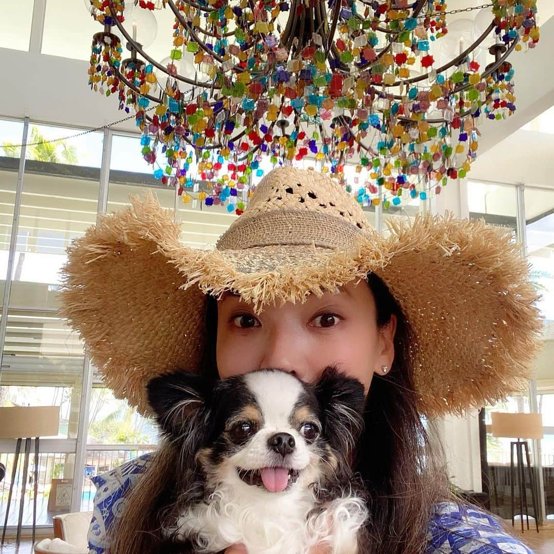 和央ようかさんのインスタグラム写真 - (和央ようかInstagram)「Sunday @kahala_resort 🍽🥂❤️💕😊🐶with my lovely family 🐶🐻  日曜日、カハラホテルにてファミリータイム🐶🐻😊💕❤️🍽🥂大切にしっかり生きよう  #takakoworldstylin🌎 #lifestyle #hawaii #kahalahotel#ファミリータイム#yokawao #和央ようか」2月1日 12時32分 - yokawao0215