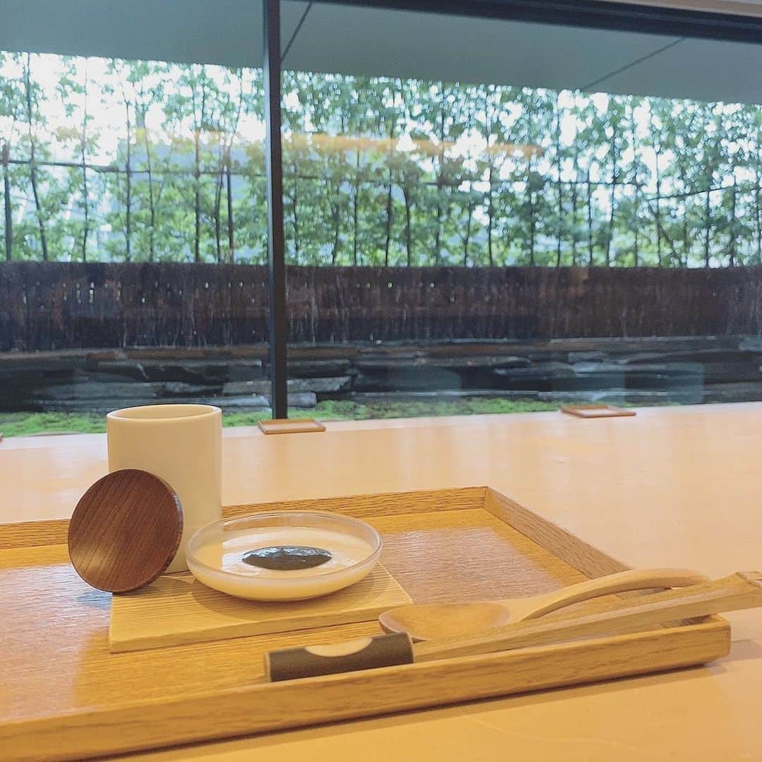 浦田直佳のインスタグラム：「. 都会の中の自然🍵🤍 (ディナーで来ると高いらしい🙃(小声)) . #表参道カフェ #表参道ランチ  #原宿カフェ #原宿ランチ #原宿  #カフェスタグラム #カフェ巡り #お洒落カフェ  #看護師 #美容看護師 #nurse #美容好きな人と繋がりたい」