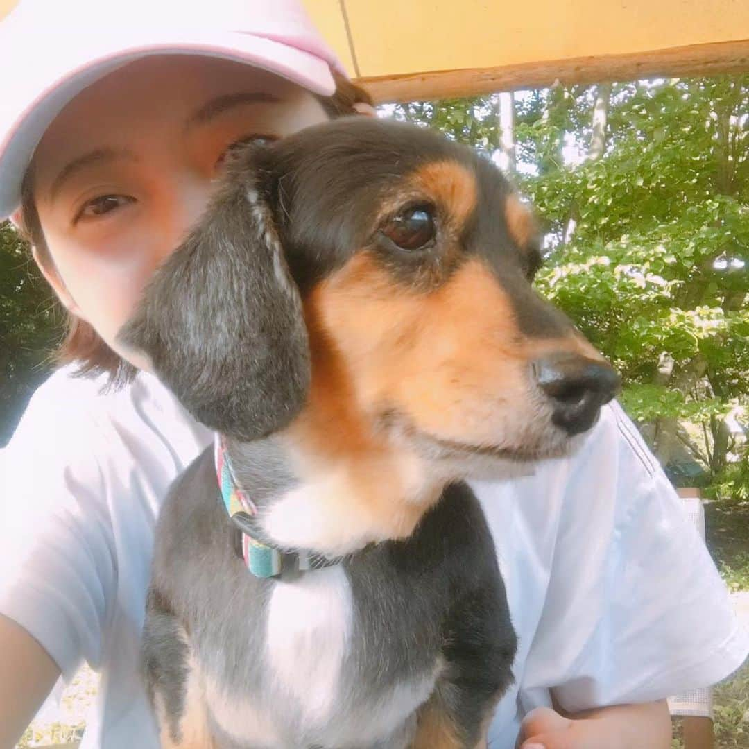 太田りこさんのインスタグラム写真 - (太田りこInstagram)「今日は愛犬チップの命日🌼  ふと夢に出てきたりして、いつもそばにいる気がする。 大切な家族の一員。 過保護ってくらい常に抱っこしてたなぁ。 一緒に成長してきた友達みたいな妹みたいな姉みたいな存在。  犬って何匹かで普通は生まれるけど、私と同じ一人っ子で生まれたんだって。 性格も似ていて、出会えたのが運命みたいだったね☺️  いつまでも大好きだよ☺️♥️  また会いたいな🌼  #0201 #myfamily」2月1日 13時20分 - porico0617