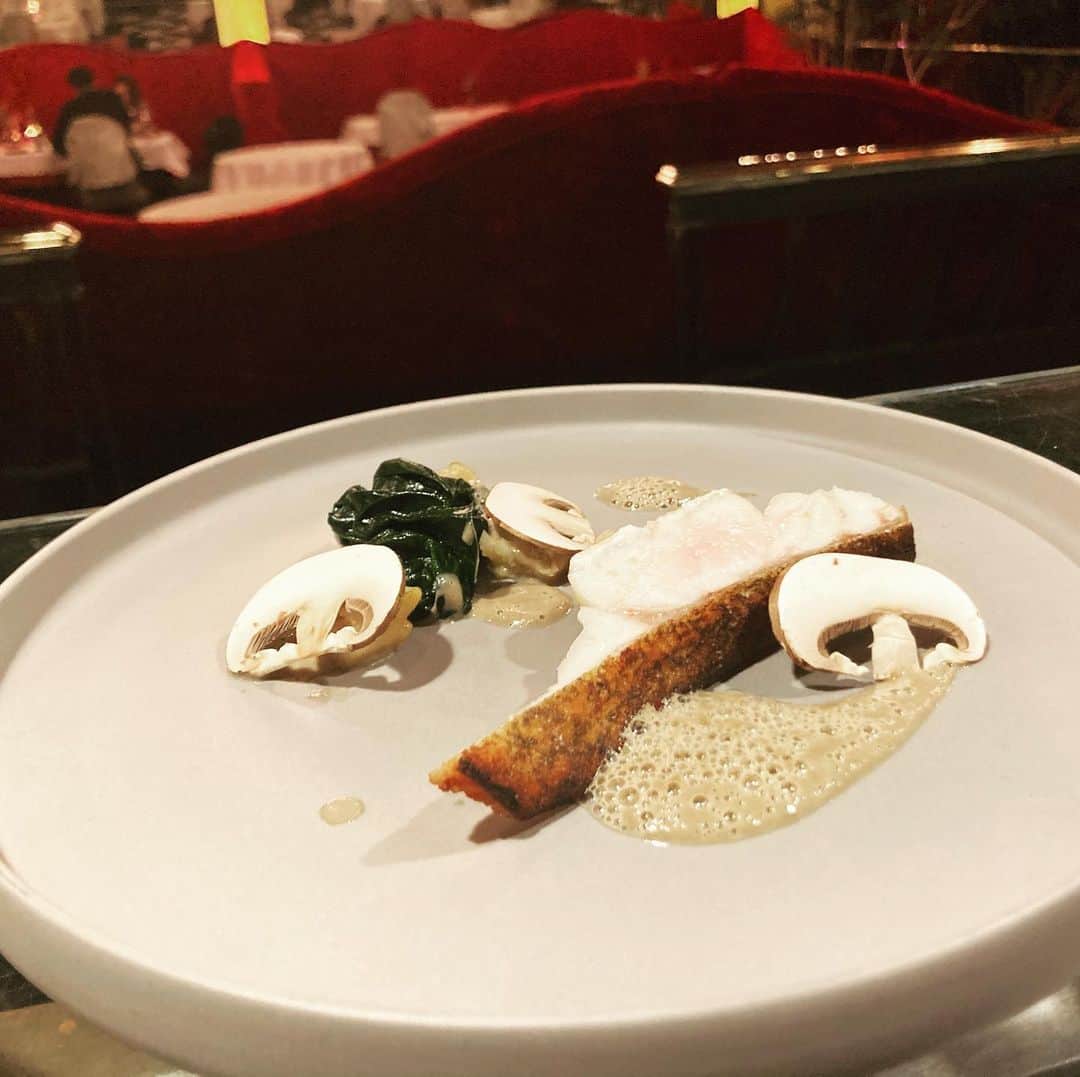 ステラートのグルメインスタ