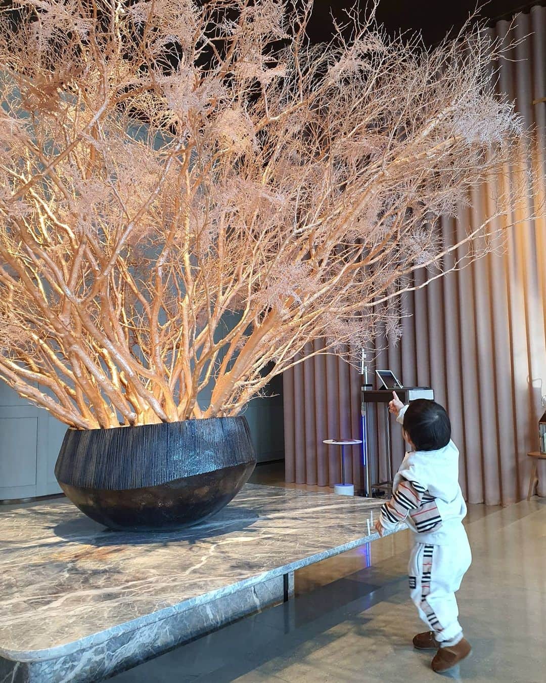 ユ・ハナさんのインスタグラム写真 - (ユ・ハナInstagram)「동글이랑 망고랑 ❤」2月1日 15時06分 - hahana111