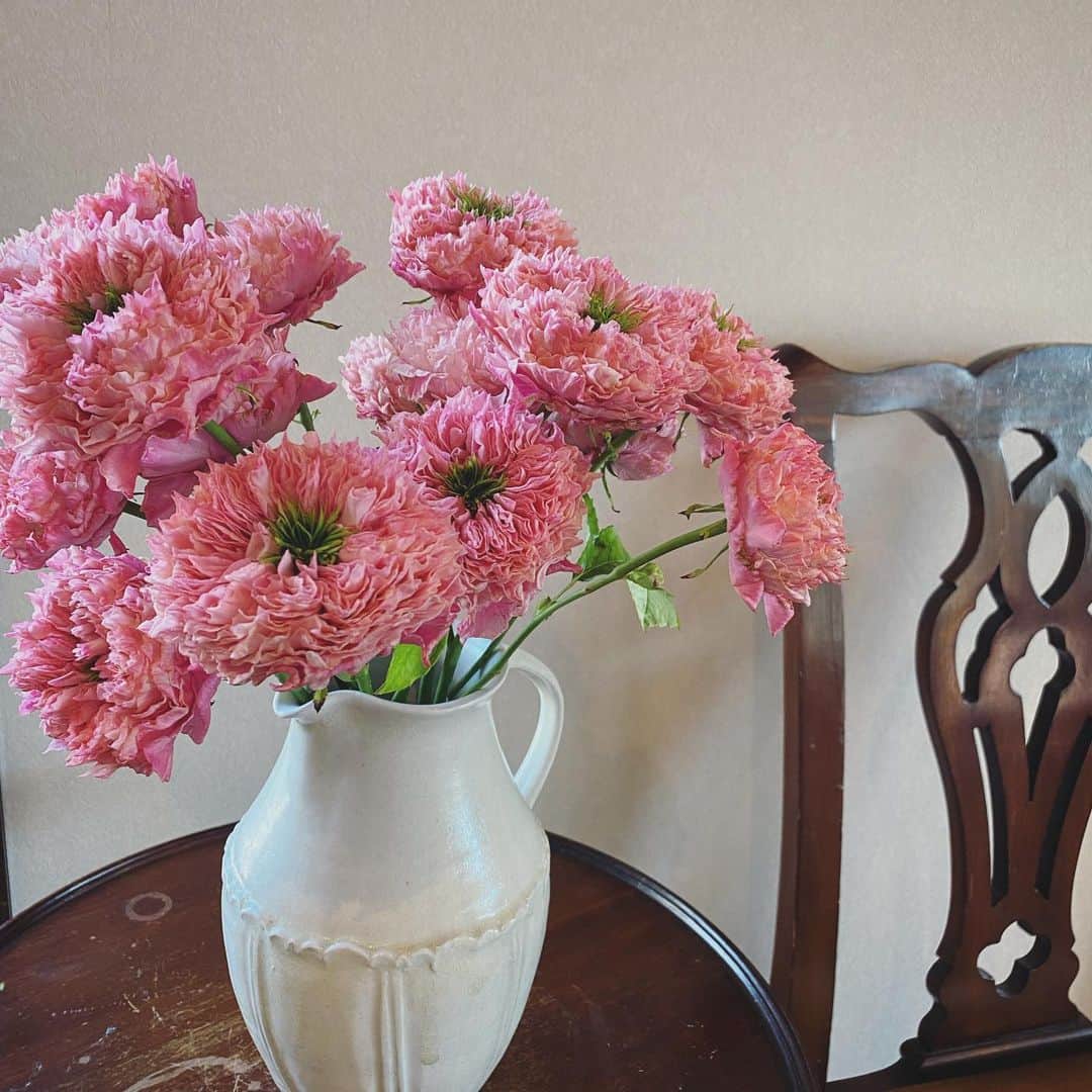 畑野ひろ子のインスタグラム：「オールフォーキュート🌹🌹🌹」