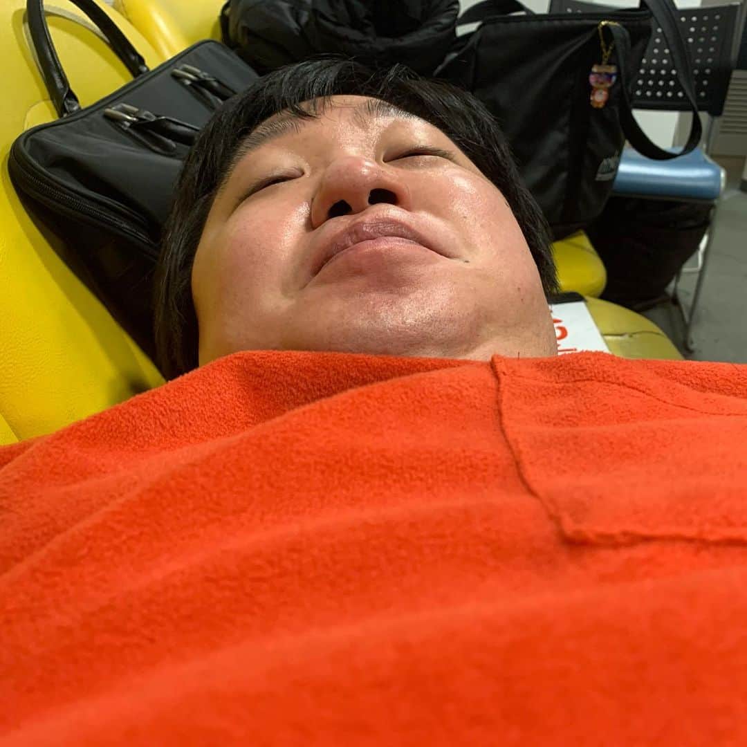 皆川勇気のインスタグラム：「メイちゃん目線のトトロ」