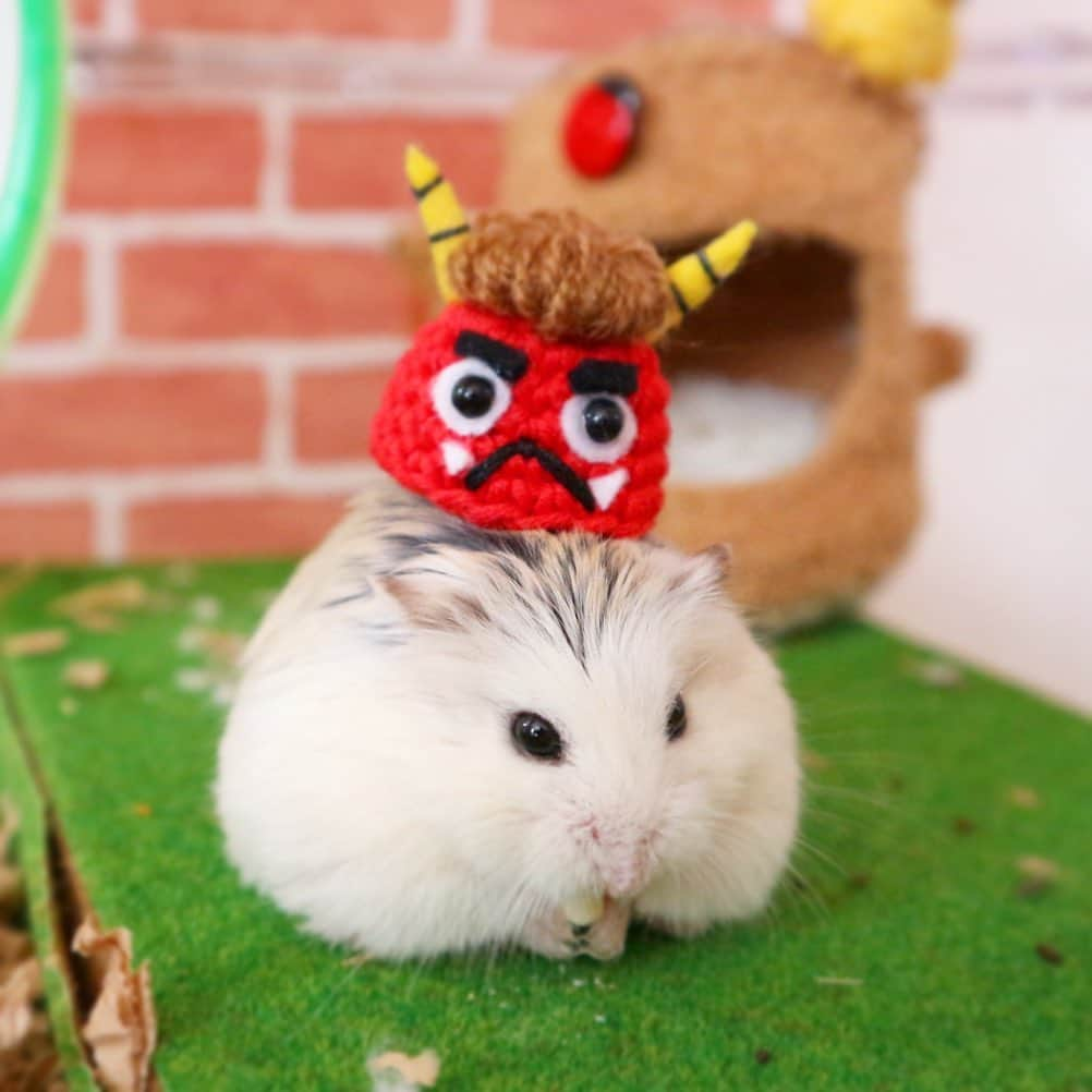 hamster_mocoのインスタグラム