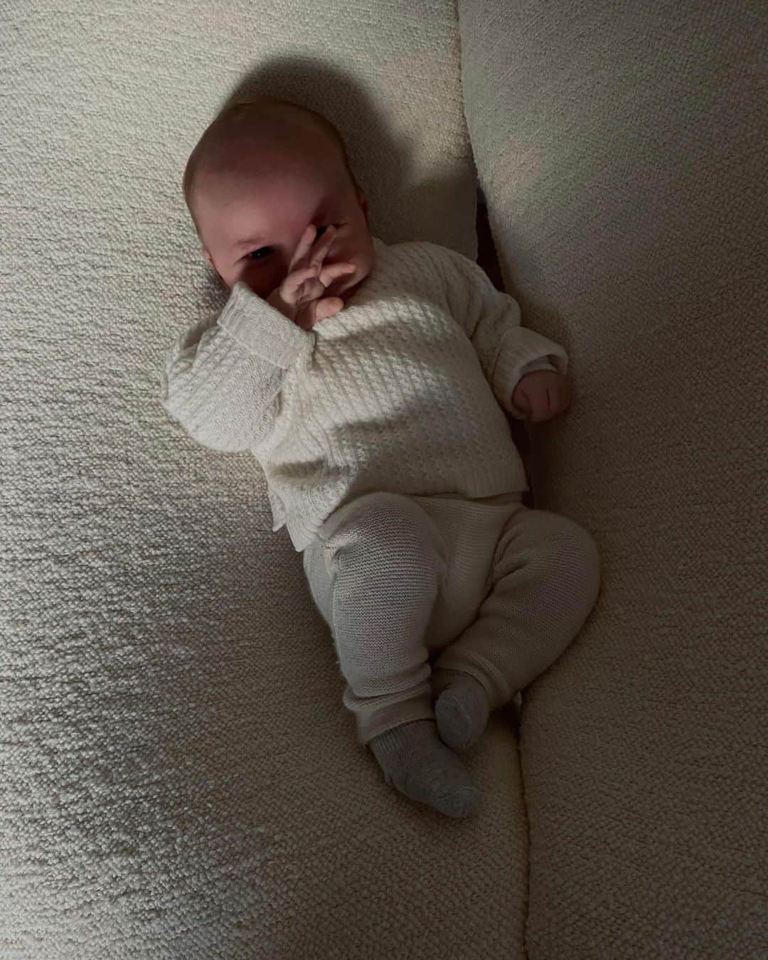 ペニーレ・タイスベックのインスタグラム：「Teeny tiny 🐨」