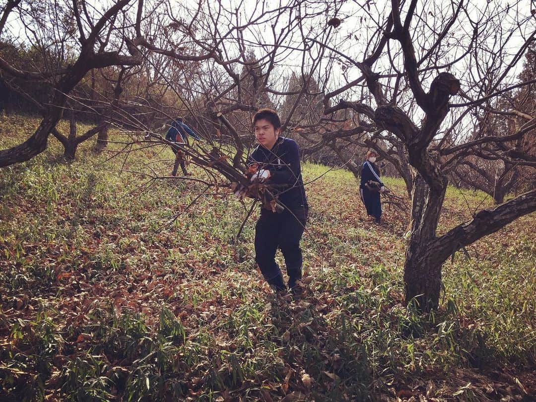 Kumamoto COC+さんのインスタグラム写真 - (Kumamoto COC+Instagram)「菊池市佐野の集落維持活動（1月30日）   菊池市佐野地区で続いている集落維持活動、1月も実施しました。 過疎集落の畑をどう守るか。 佐野地区では、集落営農に切り替えて高齢化が進む農業、農地を守っています。 佐野地区での学生たちの活動は、熊本地震以降続いています。 農地が受けた被害にはボランティアは手を出せない・・・。でもそれだと農業ってどうなっていくんだろう。高齢者ばかりの集落の農地は、放棄するしかないんだろうか・・・。 そんな疑問が始まりでした。 放棄されない畑にしていくには、色んな人やお金や知恵が必要。 労力に対して、思ったほどの収益になっていない現実に戸惑うことも。 若者が「楽しい」と感じながら農地を守ったり、その活動に参加していくにはどんな仕掛けがあればいいのか。ゆくゆくは、ここでの学びを「自分の地元だったら」「あの地域だったら」と発展して動ける人になってほしい。 #熊本大学 #学生ボランティア #農業ボランティア」2月1日 16時15分 - kumadaikido