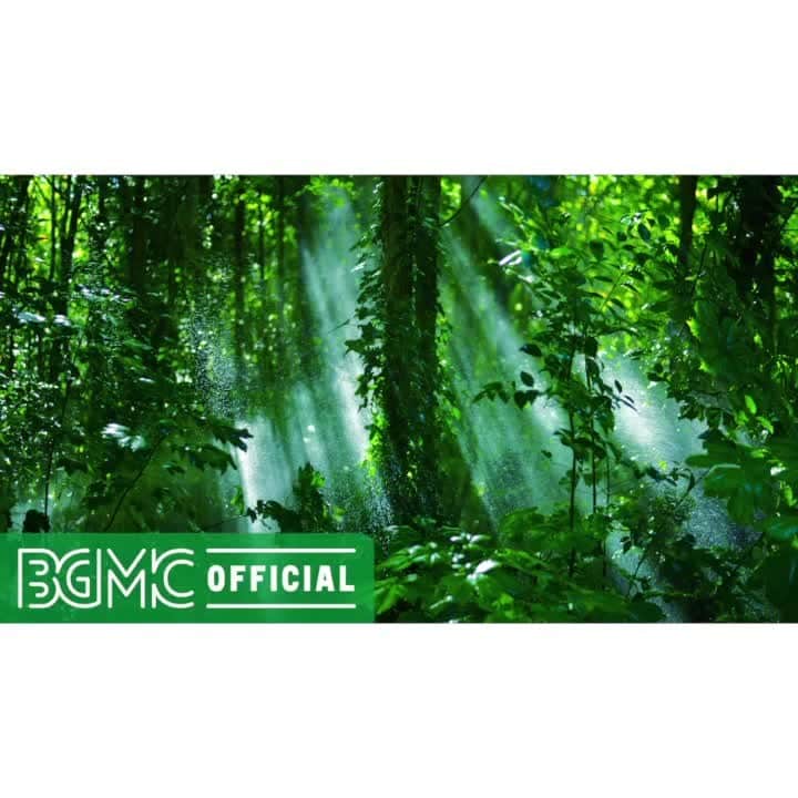 Cafe Music BGM channelのインスタグラム