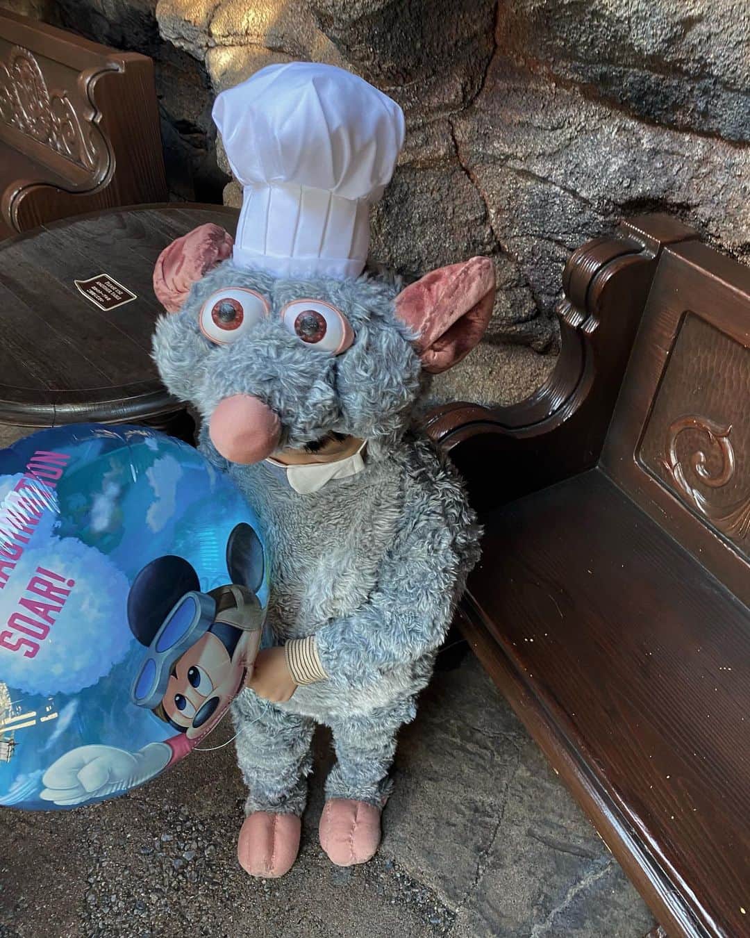tiahy__のインスタグラム：「He is Remy-taia🐀. He hates garbage. He likes good food,mushroom,cheese,rosemary. He wants to be a chef. . . . #remy_taia#taiacostume #tokyodisneysea」