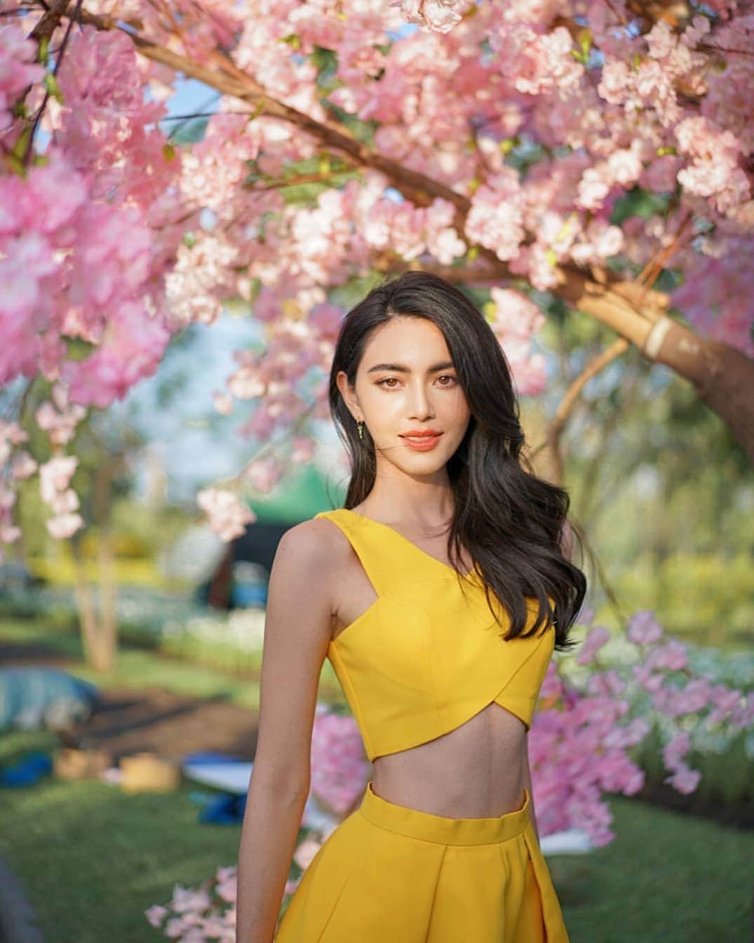 マイ・ダーウィカーのインスタグラム：「ซากุระในเมืองไทยยยยย🙈💕🌸」