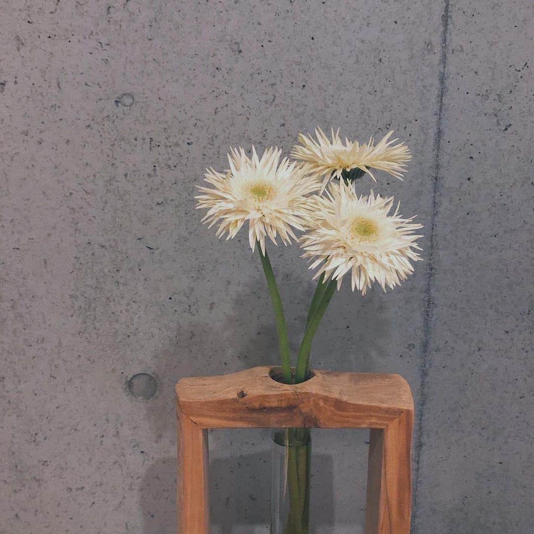 YUMIKO TANAHASHIのインスタグラム：「お花がある生活🌼  ドライフラワーに 一時期ハマっていたけど、 生花の魅力に気付いてしまった！」