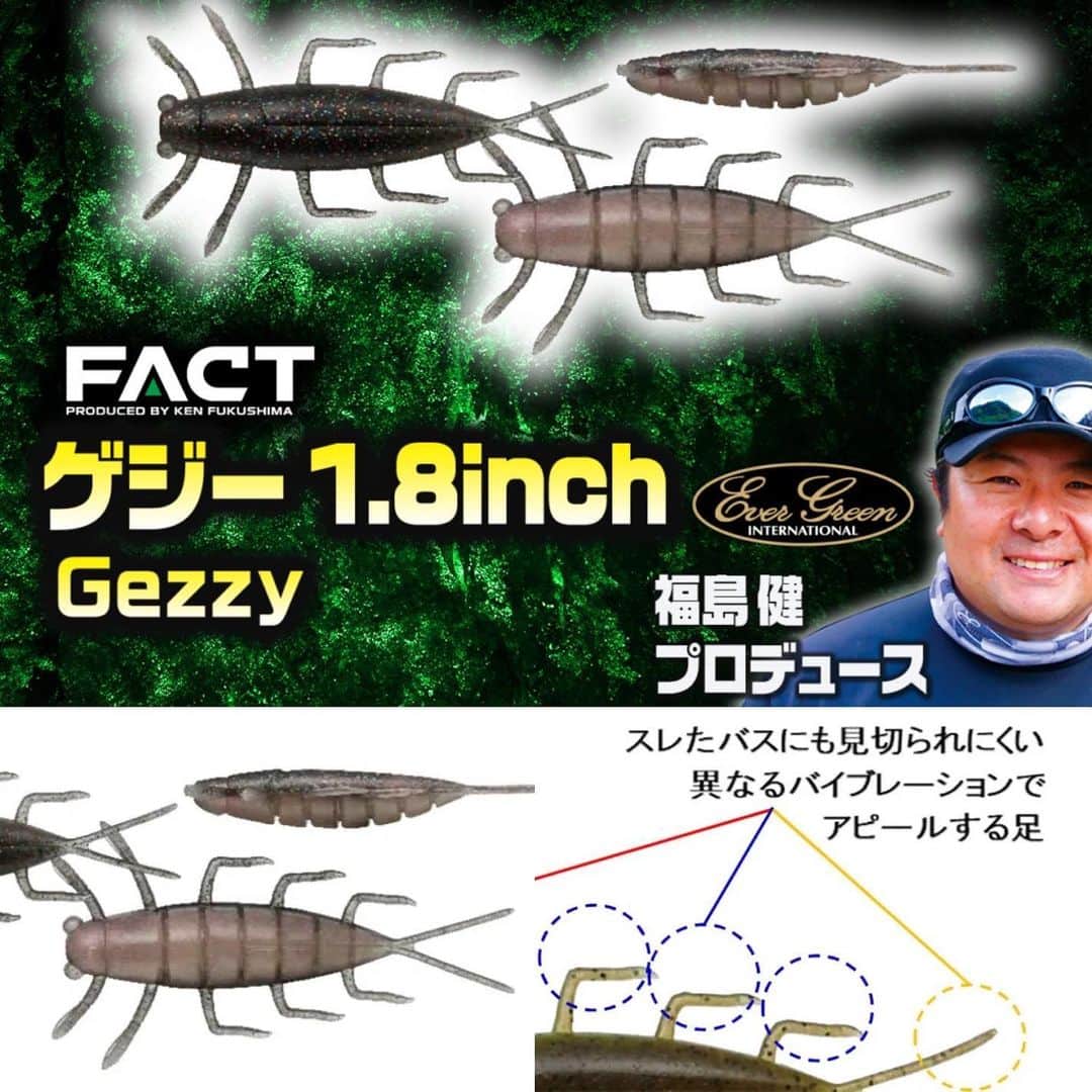 のインスタグラム：「【FACTゲジー1.8インチ】福島健プロデュースの新作スローシンキング虫系ワーム！フォール時の微波動っぷりがヤバい  #ゲジー #福島健 #虫系ワーム #エバーグリーン #2021年4月下旬登場予定 #ルアーニュース」