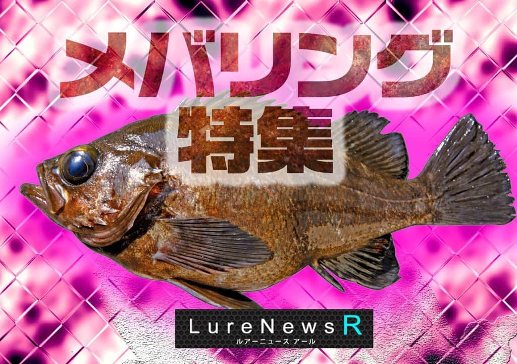 のインスタグラム：「【メバリング特集・配信スタート】これから春に向けて最盛期を迎える「メバリング」を大特集!随時情報更新中  #メバリング特集 #メバリング #メバルプラッギング #りんたこ #岩崎林太郎 #花田浩晃 #ルアーニュース」