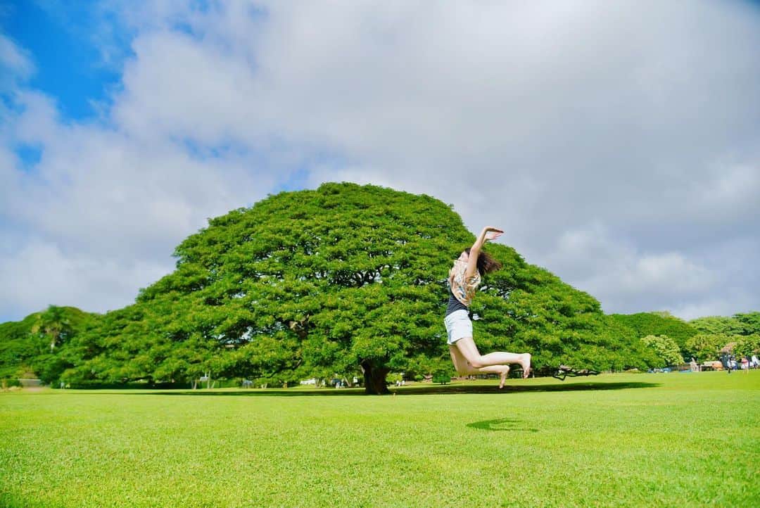 kawaiihawaiitourさんのインスタグラム写真 - (kawaiihawaiitourInstagram)「ホノルルにある日立のCMの撮影で使われているこの木なんの木です！少しでも、皆さんにハワイの空気を感じ取ってもらえたら嬉しいです！本日は、ハワイは、82人のコロナの感染者が出ました。カワイイ・ハワイ・ツアーでは、お客様が行きたいところを自由に選んでもらって好きなようにツアーが回れます‼️ --------------------------------------------------------- ❤️Kawaii Hawai'i Tour / カワイイ・ハワイ・ツアー ❤️✨🌈プラン🌈✨ (ハワイ州政府公認会社 PUC 497-C) ✔︎日本人経営 日本人ガイド付きツアーなので安心️🏝✨😎👍🏽 ✔︎あなただけのオリジナルツアーが作れます ✔︎初ハワイ満喫コース、オススメスケジュールご用意しています‼︎ ✔︎ガイドブック派？それともローカル体験派？ ✔︎なんでもご相談下さい 💁🏽‍♂️💁🏽☀️🏝✨😎👍🏽 ✔︎お写真もたくさんお撮りします🤳 ------------------------------------------------------ ✴︎今日の格言✴︎ 自分に対しては、損と得とあらば損の道をゆくこと。他人に対しては、喜びのタネまきをすること。我も他も物心ともに豊かになり生きがいのある世の中にすること(鈴木清一) ------------------------------------------------------ お客様の笑顔が私達の笑顔をモットーにツアーをさせてもらっています🚙🚖🚘 --------------------------------------------------------  #ハワイ #hawaii #カワイイハワイハワイツアー #アウラニディズニー #コロナ　#ファインダー越しの私の世界 #カカアコ #ハワイ好き #ラニカイビーチ #天国の海 #ハワイウェディング #ハワイ行きたい #ハワイツアー #オアフ島　#ホノルル #ハワイチャーターツアー  #ハワイ旅行  #ハワイ女子旅  #ハレイワ 　#フォトジェニック #ハワイ好きな人と繋がりたい #ハワイコロナ　#インスタ映え  #ハワイ観光 #カイルア  #モアナルアガーデン  #オアフ島 #日立の樹 #この木なんの木 　#ヤシの木 #ワイキキ」2月1日 18時01分 - kawaiihawaiitour