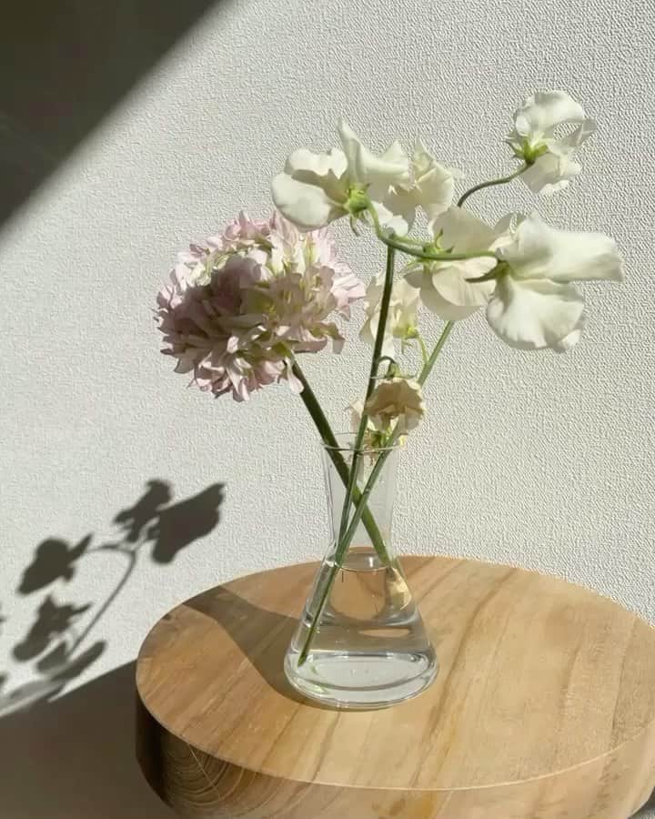 のインスタグラム：「February 🌞🍃✨ 眺めているだけで心が安らぐ。 次は🌷にしようかなあ  #flowers #お花のある暮らし」