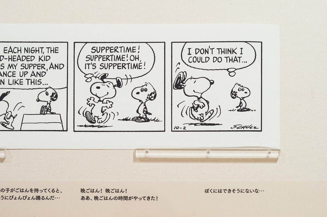 SNOOPY MUSEUM TOKYOのインスタグラム：「#snoopymuseumtokyo #schulzmuseum #snoopy #スヌーピーミュージアム #スヌーピー #スヌーピーときょうだい #snoopyandhissiblings」