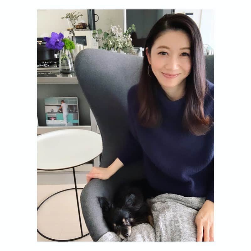 市橋有里のインスタグラム：「2月の始まりはリモート仕事。 側でおとなしくえらいえらい😌 ・ #リモートワーク #いぬすたぐらむ  #犬のいる暮らし  #おうちじかん」