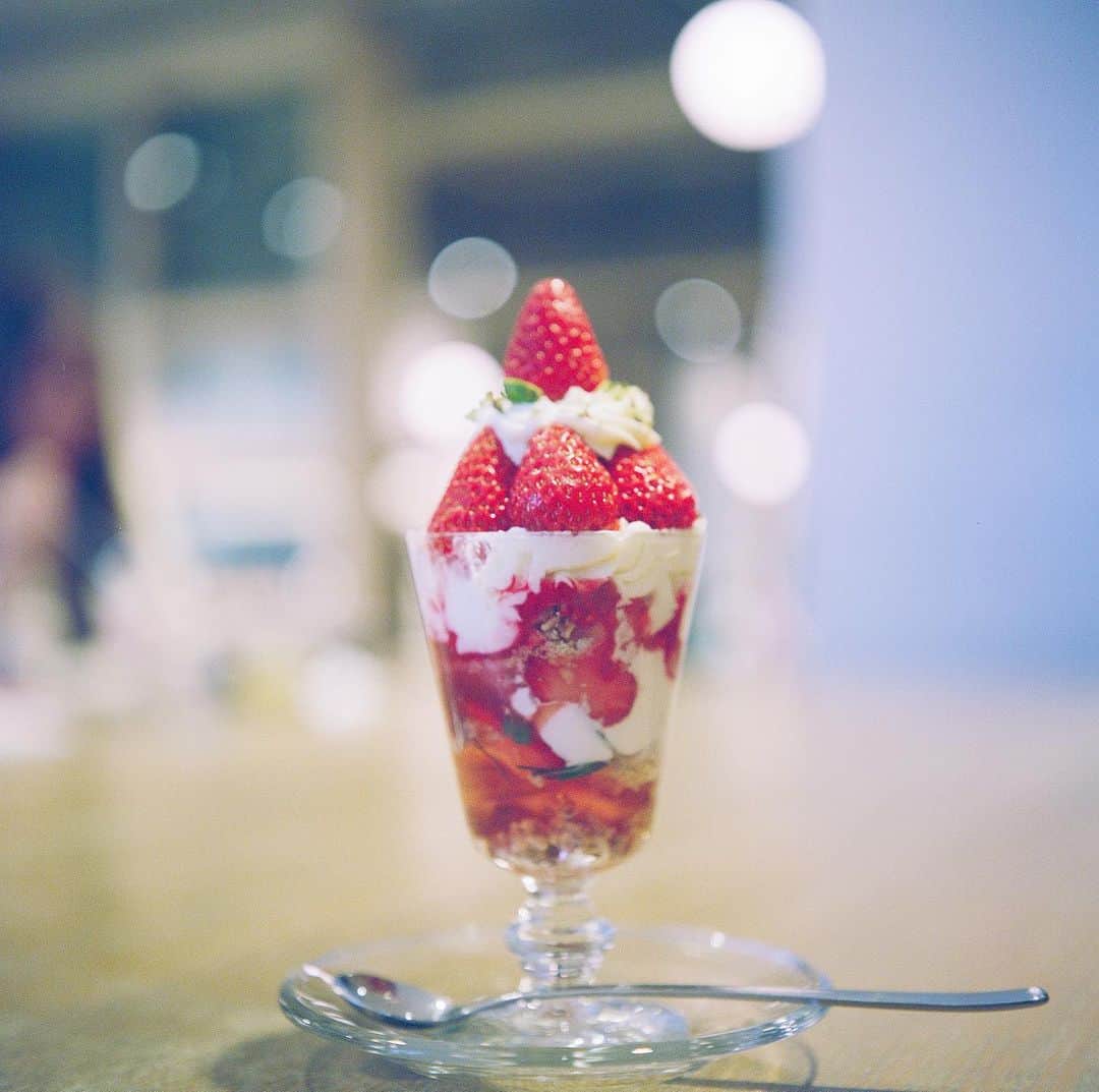 今城純さんのインスタグラム写真 - (今城純Instagram)「COBI COFFEE さんのいちごパフェ！﻿ ﻿ 苺がぎっしり詰まっていて美味しかったです！﻿ 生クリームに見えるのはチーズクリームでした。﻿ ピスタチオのアイスやジュレも👌﻿ やっぱり最後はジュレで締めたいです（笑）﻿ ﻿ ﻿ ﻿ #enjoysweets﻿ ﻿ @junimajo_sweets (スイーツ専用)﻿ ﻿ ﻿ #junimajo#junimajo_sweets#今城純#irotoensoku#blueblue#forward#weakpointは少食です#junimajoonlinestore#junimajomovie#slowscent﻿ #filmphoto#カフェ#スイーツ」2月1日 18時48分 - junimajo