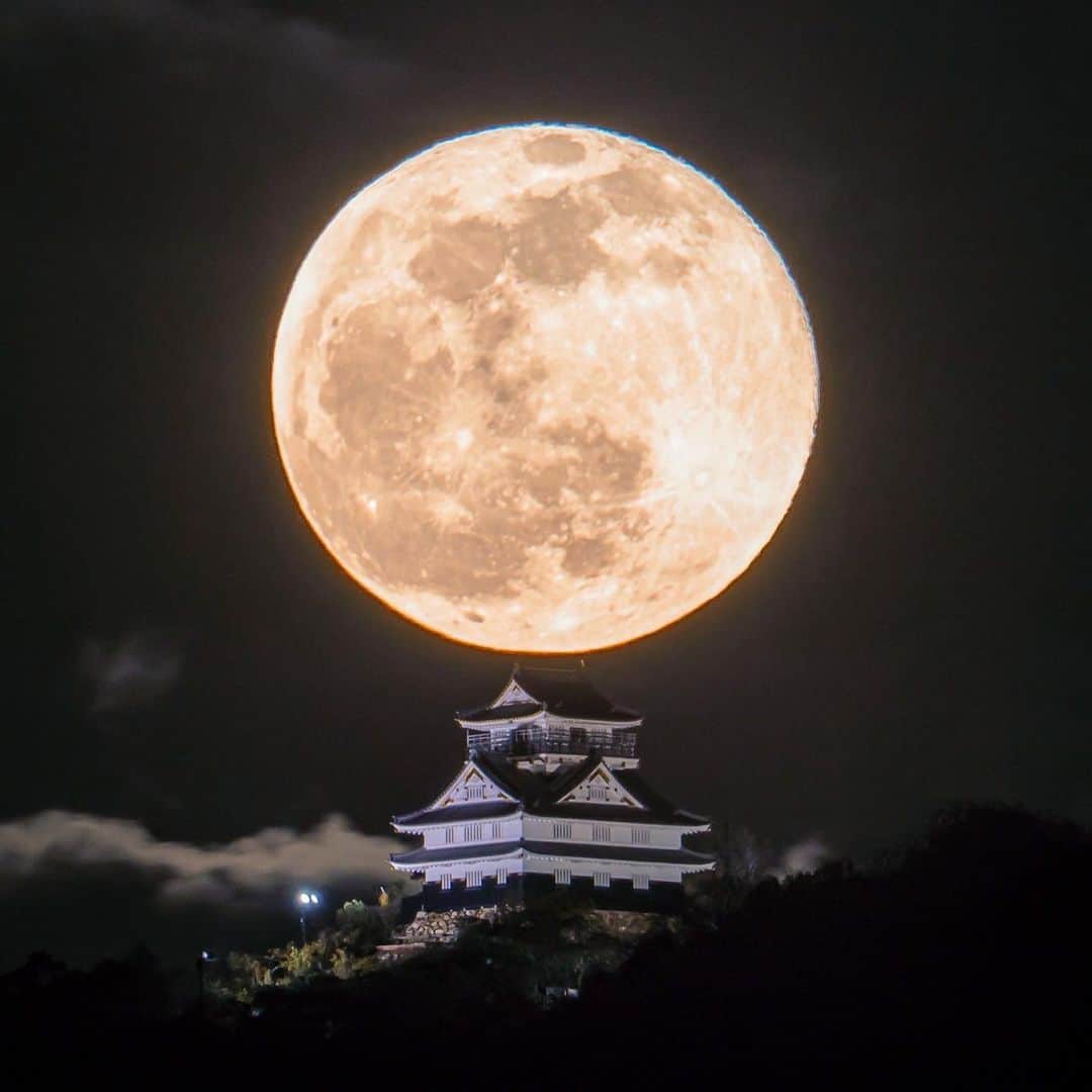 Skyticket.jpのインスタグラム：「⠀ @ag.lr.88 さんが撮影した大迫力の満月と岐阜城。 ⠀ 以前から岐阜城は月が城を飲み込んでしまうような構図の写真が撮れることで有名。 ポイントは月を大きく、城を小さく見せるため岐阜城から2～4キロほど離れて撮影すること。 ⠀ 満月の夜、月が出始めてから2時間後くらいが絶好のシャッターチャンス。 まるでPhotoshopで合成したのでは？と疑ってしまうような巨大な満月が現れます。 ⠀ photo by 📷 @ag.lr.88 ⠀ +++++++ +++++++ +++++++⠀ 岐阜城 住所：〒036-8356 岐阜県岐阜市18 公式・関連サイト：https://www.kankou-gifu.jp/spot/912/ +++++++ +++++++ +++++++ ⠀ ・ ・ ▼旅先の絶景やおすすめ写真を大募集📷 #skyticketrip を付けた投稿はストーリーズでご紹介させてください🌈  #麒麟がくる #岐阜県 #斎藤道三 #織田信長 #ウルフムーン #満月 #月 #岐阜城と月 #岐阜 #岐阜城 #満月の夜なら #城巡り #日本100名城 #お城 #城跡 #城郭 #東京カメラ部 #金華山 #稲葉山 #稲葉山城 #日本の城 #風景写真 #日本の風景 #ぎふの旅 #ぎふの四季の風景 #いいねぎふ #skyticket #スカイチケット」