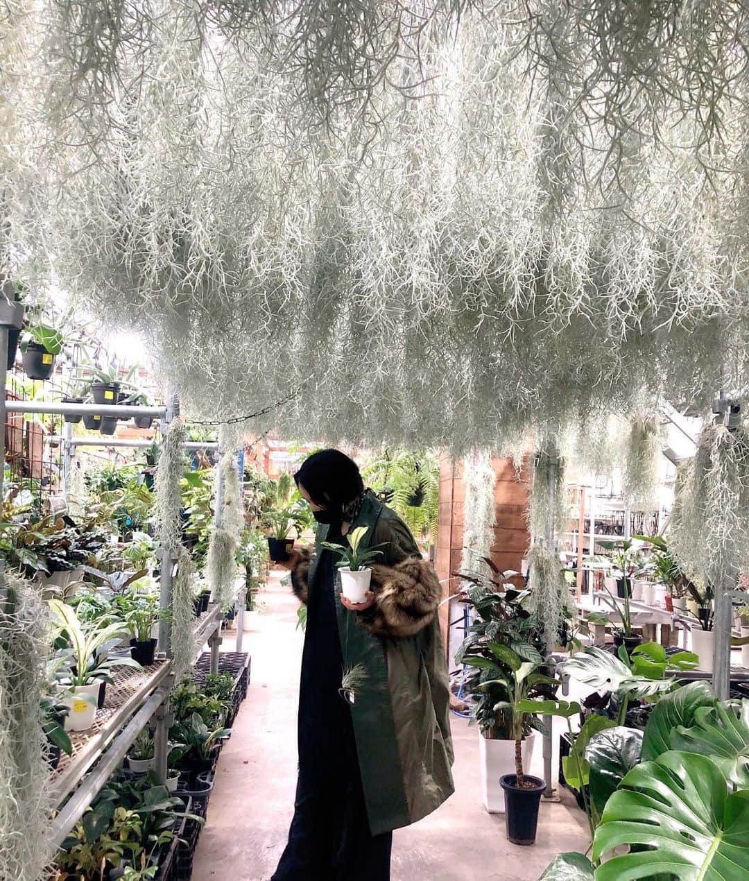 佐々木香奈のグルメインスタ