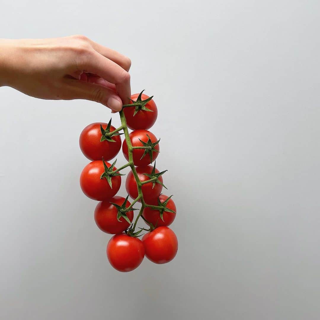 橋本江莉果のインスタグラム：「フォルムもかわいい❤️﻿ ﻿ もぎたての味🤤🍅﻿ ﻿ #トマト #tomato」