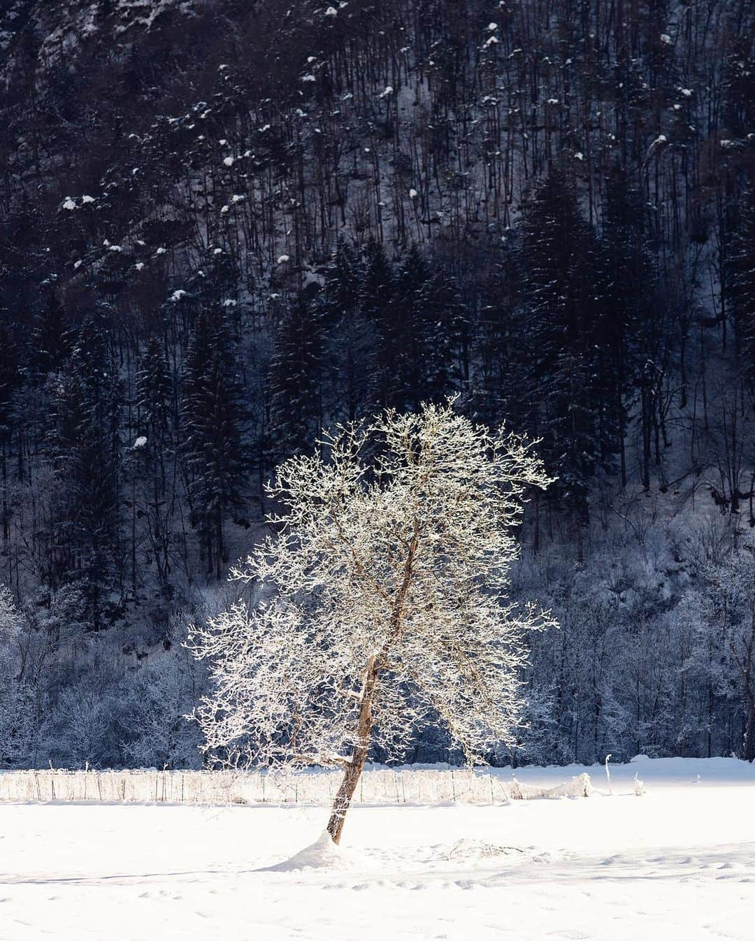 National Geographic Travelさんのインスタグラム写真 - (National Geographic TravelInstagram)「Photos by @andrea_frazzetta / A winter morning in the snowy valleys of Trentino in northern Italy. Trentino, with its enchanting scenery of majestic peaks, woods, and small villages with ancient traditions, is known for the beauty of its mountains. To see more photos from my travels, follow me @andrea_frazzetta. #Italy #Trentino」2月2日 5時38分 - natgeotravel