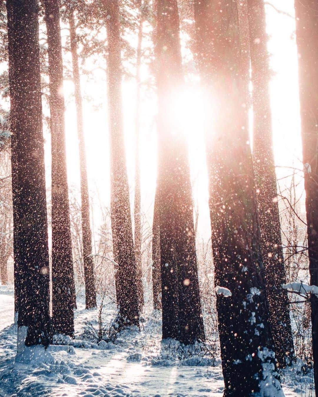 FOLKのインスタグラム：「I hope your Monday was also a winter wonderland. Today’s favorites are: 1.) @bennybystrom 2.) @southwes 3.) @kaseymantiply 4.) @sebiluks 5.) @rachyhannahphoto 6.) @marioshsmith」