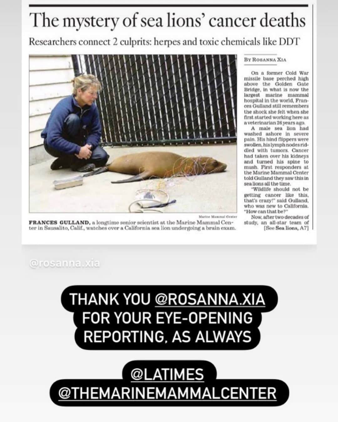 シャロン・ローレンスさんのインスタグラム写真 - (シャロン・ローレンスInstagram)「#DDT in the waters of our #santamonicabay coast have been making the water toxic to the creatures who live there and the fish consumed from off the piers. More details in this article by @rosanna.xia and on our @healthebay stories」2月2日 6時09分 - sharonelawrence