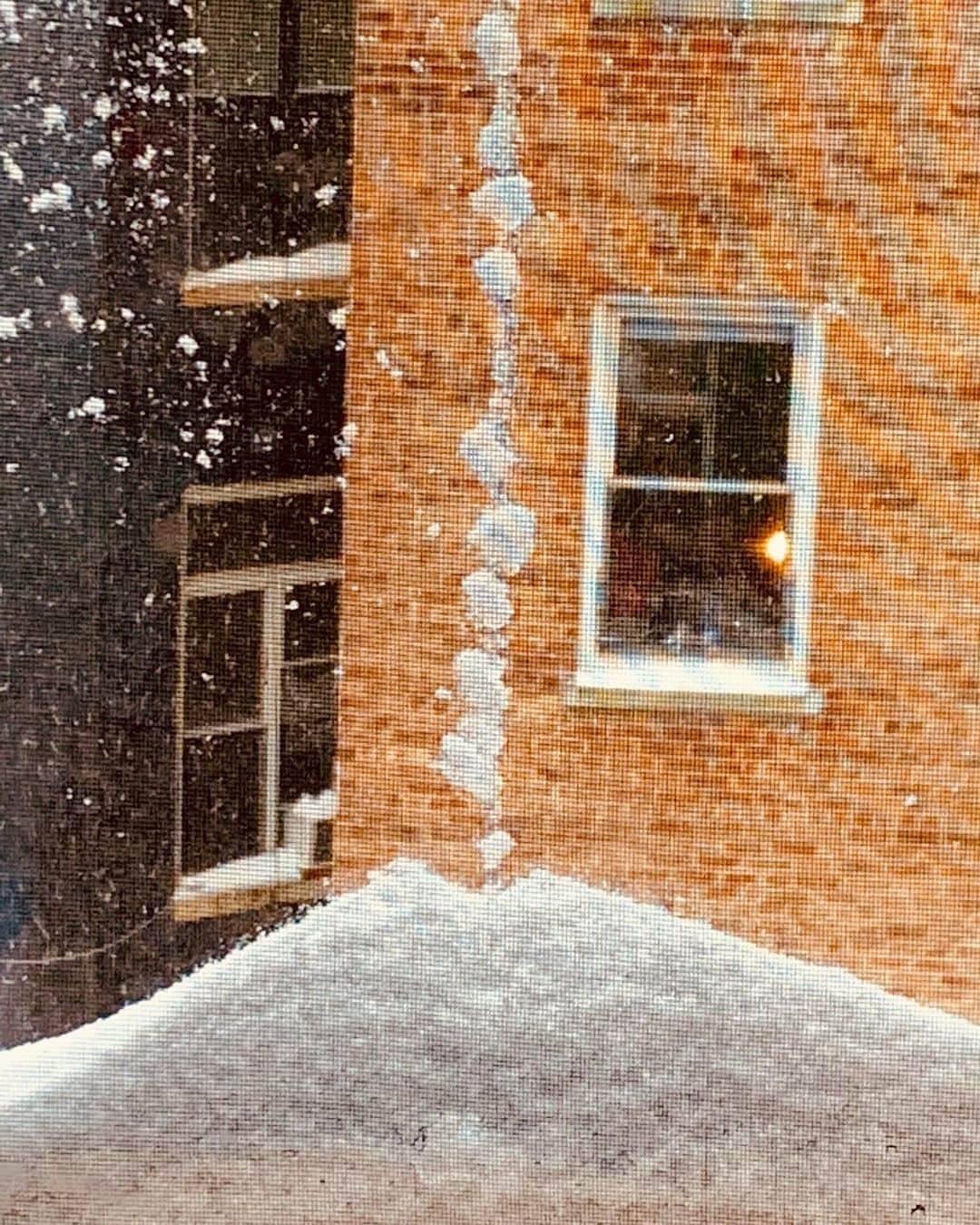 JULIEN D'YSのインスタグラム：「Like mont Fuji 🗻 in #newyork #snowstorm #window#february1.2021 ❄️❄️❄️❄️❄️❄️❄️❄️❄️👁❄️❄️❄️#regarde#nature」