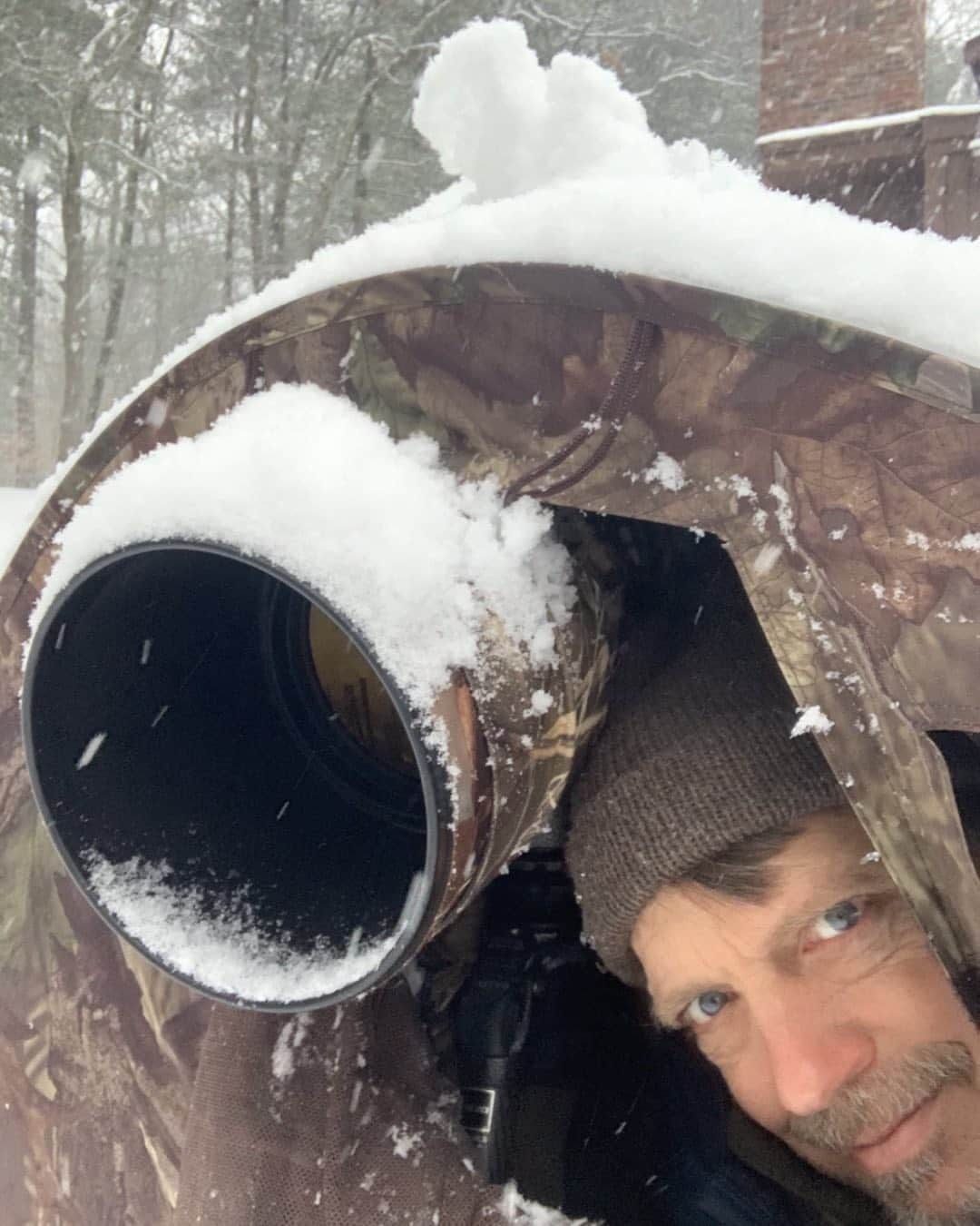 Tim Lamanさんのインスタグラム写真 - (Tim LamanInstagram)「Greetings from my snowy back yard where I’m continuing to work on my backyard birds collection as we get hit by a major snowstorm. See the video in my Story.  And don’t forget this is the last day of my Valentines Day flash sale. Visit link in bio.  Ok back to the camera..... @tragopanblinds」2月2日 6時38分 - timlaman