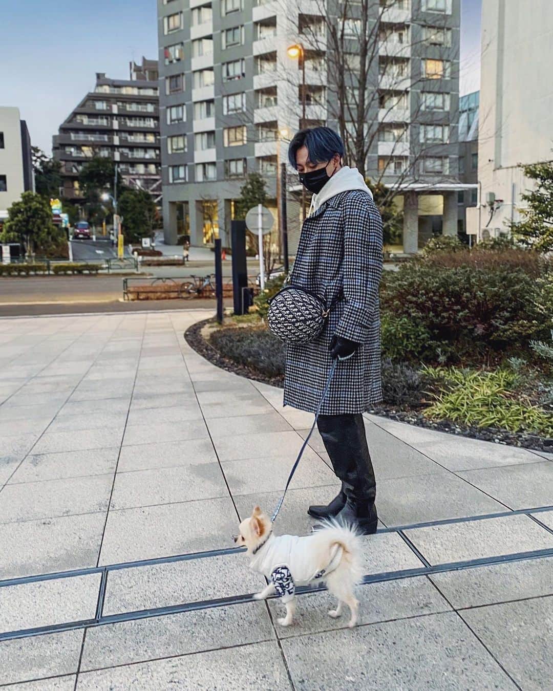 のインスタグラム：「Everydayさんぽ  同じ犬種いるとなんか親しみを感じる」