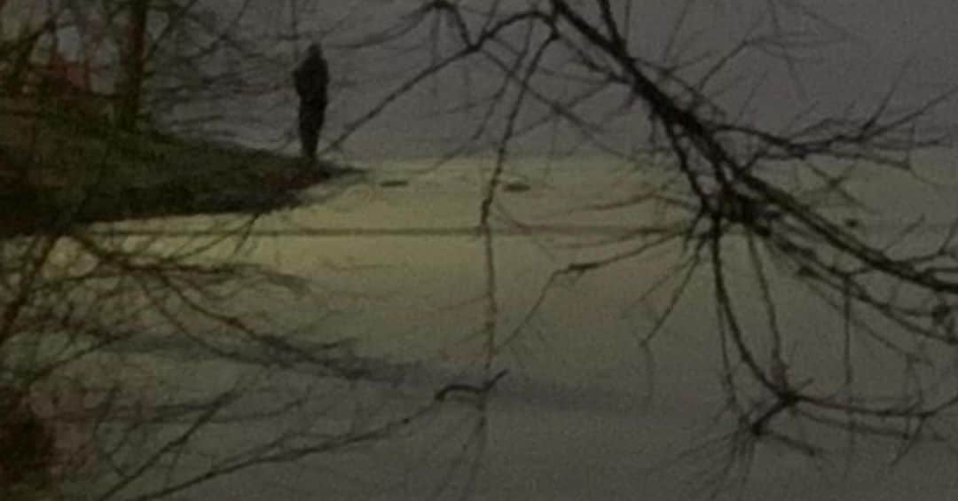 JULIEN D'YSのインスタグラム：「I love this picture last night in #centralpark before the big#snowstorm #the shadow the visitor ? ##mysterieux beautiful #newyork #fevrier1.2021 #happybirthday brothers twins. Claude et joseph ❤️❤️」