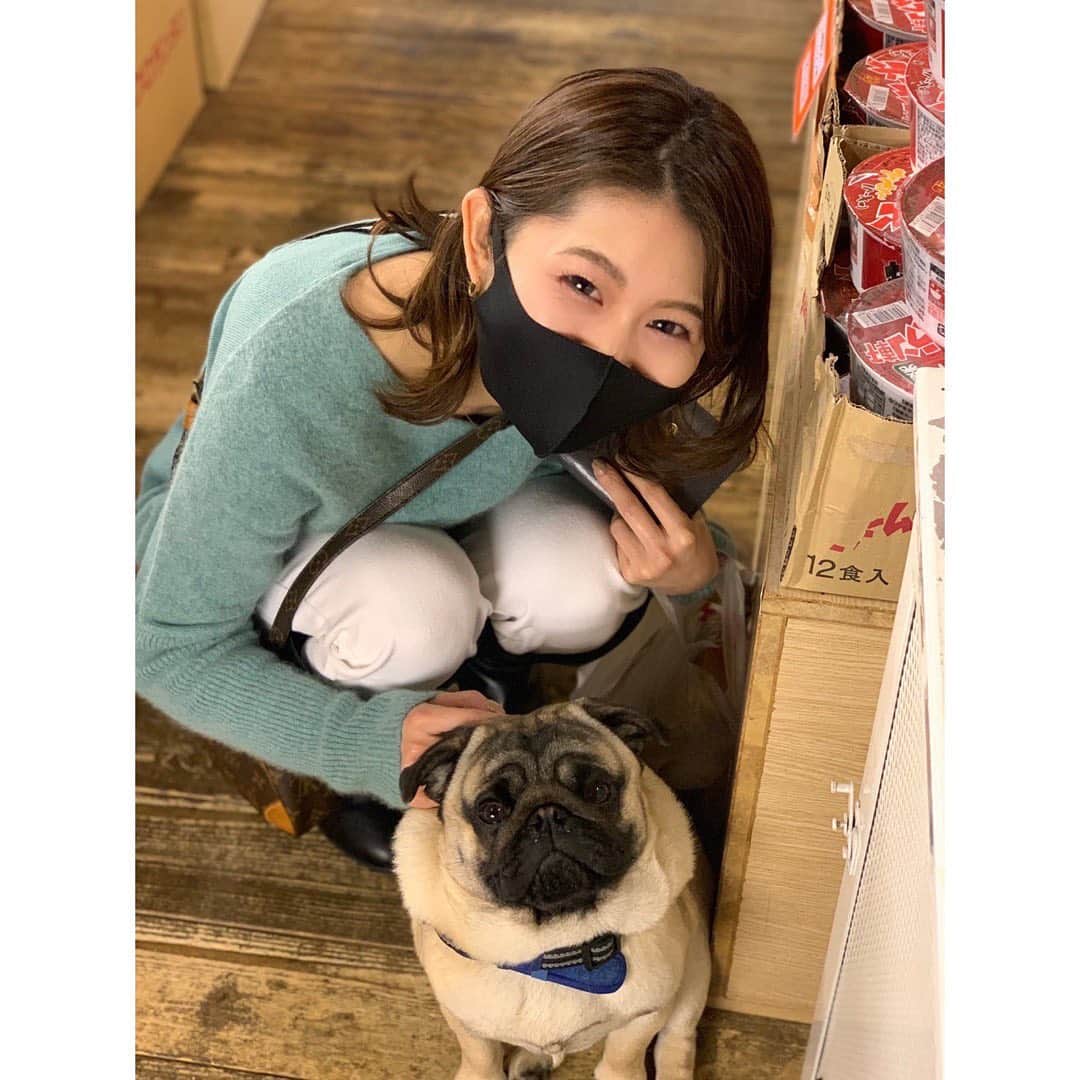 尾島早都樹のインスタグラム：「とあるお店で買い物していたら... 看板犬のパグくん？ちゃん？が 店の奥から登場。お出迎えしてくれました🐶🐾 (普段は出てこないらしい)  昔から犬大好きなんです、、 どうしてこんなに うるうるおめめなんだ🥺❤︎きゃわ  #チューリップテレビ #アナウンサー #女子アナ #パグ #看板犬 #癒し #上目遣いがたまらない #わんだふる #🐶 #🐾」