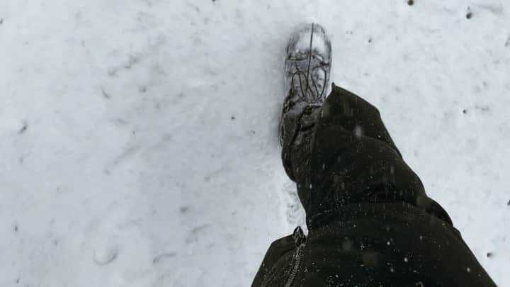 トローヤン・ベリサリオのインスタグラム：「It’s not like they didn’t warn me. #gardenstate?」