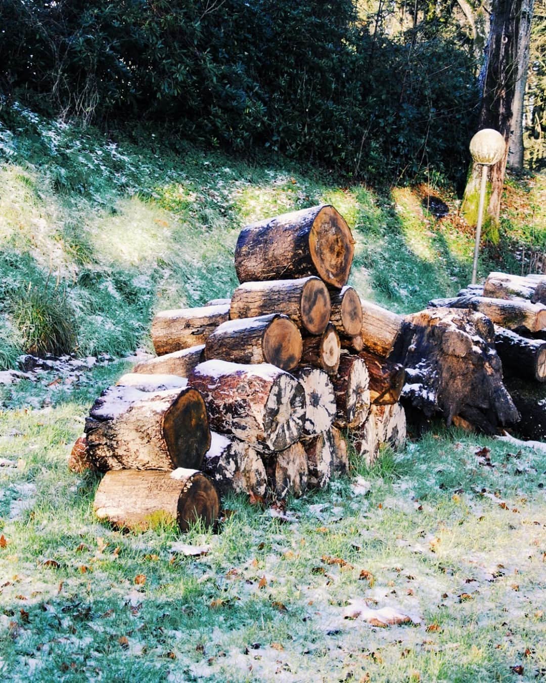 のインスタグラム：「Une vie paisible à la campagne. Un tas de bois pour nos soirées d’hiver au coin du feu. Un rayon de soleil qui traverse la pelouse givrée du matin. ❄️  _____  A peaceful life in the country. A pile of wood for our winter evenings by the fire. A ray of sunshine crossing the morning frosty lawn.  #lemontstmichel  #lifestyle #cottagecore #cottagecoreaesthetic #naturecore #slowlife」