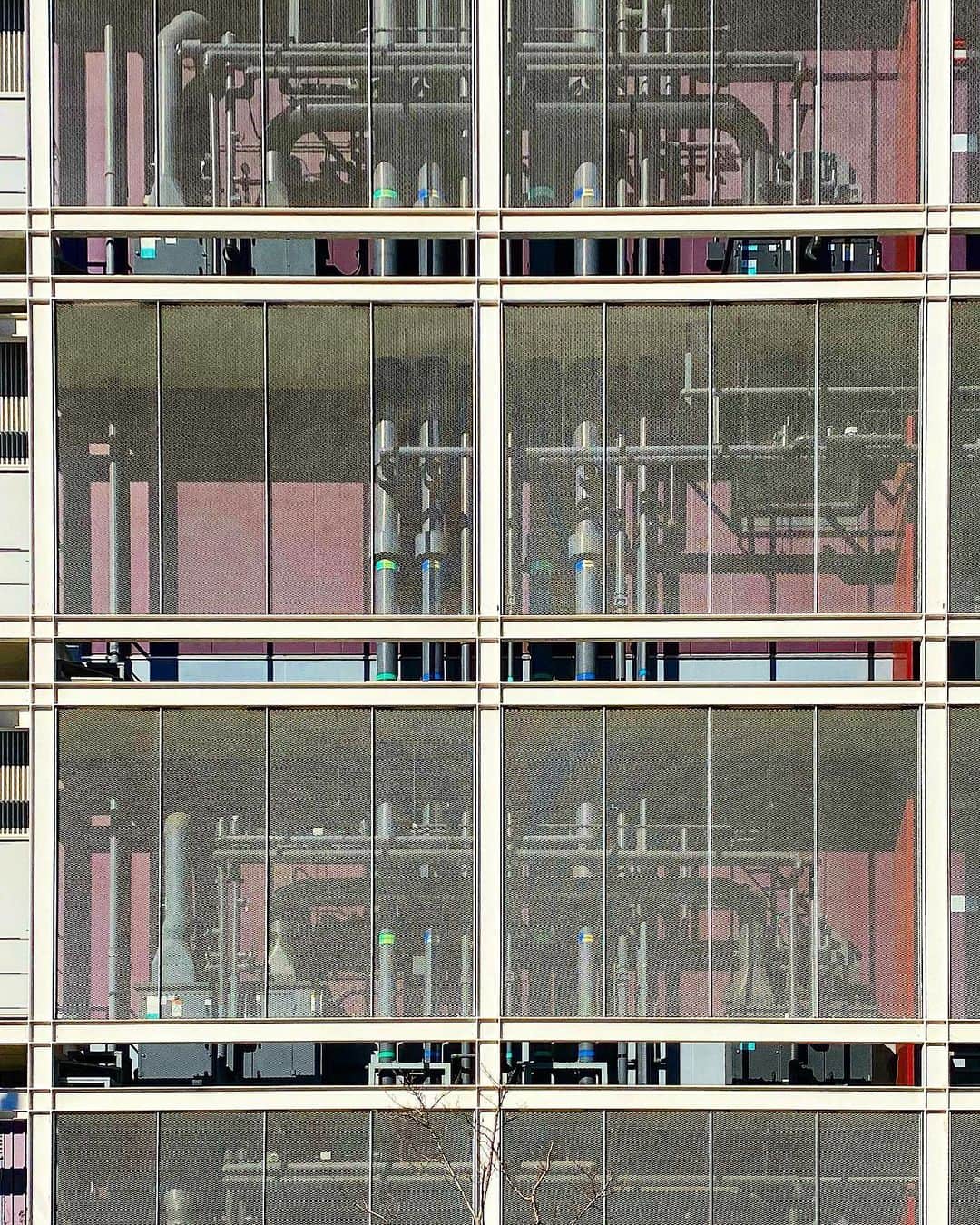 tsuno2noのインスタグラム：「2.February.2021 田端新町 . #ザ壁部 #igersjp #instagram #こんななの #minimalint #9minimal7 #ic_minimal #arkminimal #rsa_minimal #indies_gram #tv_simplicity #jj_minimalart #arte_minimal #タグキング👑 #minimalmood #shotoniphone #soulminimalist #indies_minimal #screen_archive #minimal_greece #instagramjapan #buildingstylesgf #ig_minimalshots #unlimitedminimal #paradiseofminimal #minimal_perfection #loves_united_minimal #ihaveathingforminimal #grand_doorsandwindows .」