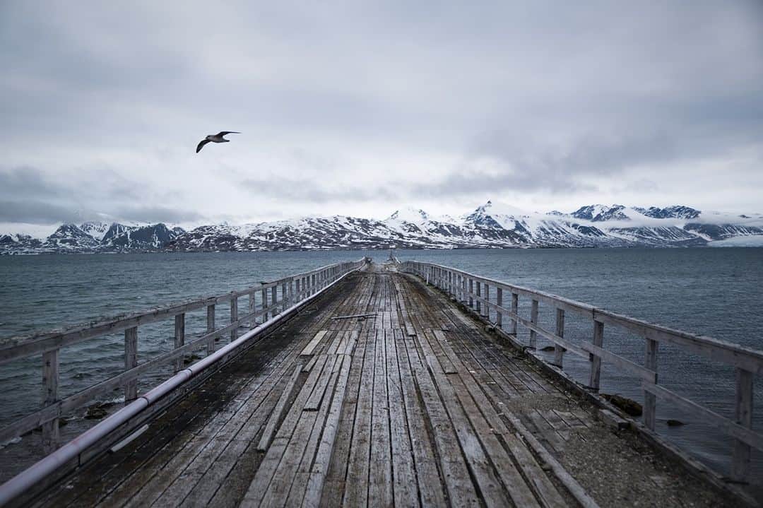 ライカさんのインスタグラム写真 - (ライカInstagram)「Giulio Rimondi (@giuliorimondi) – Trailing Through the Arctic with the #LeicaSL  How does the soul of photography and global warming go hand in hand? Photographer Giulio Rimondi takes us on the journey through the arctic, to raise awareness of the catastrophic consequences of global warming. Learn more via the link in our bio.  #LeicaCamera #Leica #🔴📷」2月2日 0時00分 - leica_camera