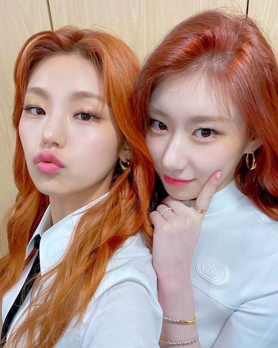 チェリョンのインスタグラム：「chaerji babies 🐱🧡」