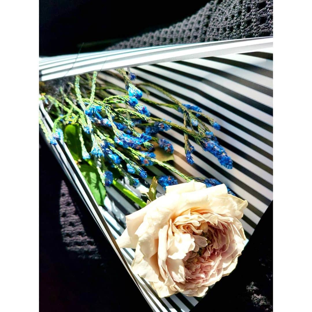 中村まきのインスタグラム
