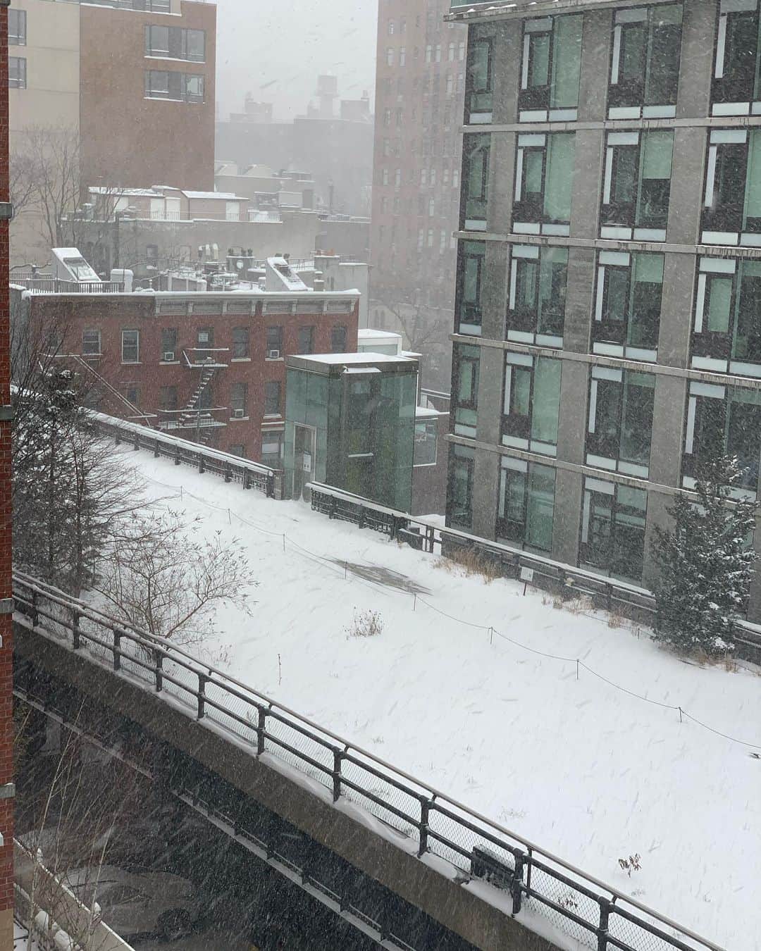 サンドラ・バーンハードさんのインスタグラム写真 - (サンドラ・バーンハードInstagram)「New York City Feb 1 @highlinenyc the winter of our discontent」2月2日 0時27分 - sandragbernhard