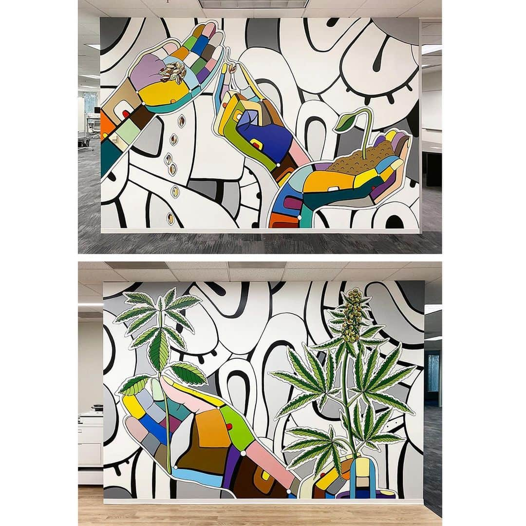 デヴィッド・ギルモアさんのインスタグラム写真 - (デヴィッド・ギルモアInstagram)「Here are the last two murals from my project with @weedmaps facilitated by @lpainc. These are about 100 ft apart in two break room areas which face each other, and are both visible at the same time in large portions of the office.  They depict the story of cannabis starting on one wall: from seed to germination to sprout and continuing onto the next wall finishing in full plant then onto the flowering/ bud state. Each wall is roughly 9ft by 13ft. And there you have it.  Thank you so much Weedmaps and LPAINC for this wonderful project. #davidgilmorestudio #davidgilmore #weedmaps #weedmapsoc #lpainc #mural #popart #contemporaryart #irvinecompany #diptych #novacolors #pattern #originaldesign」2月2日 0時54分 - davidgilmore