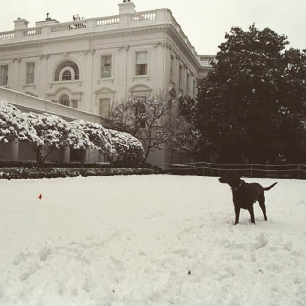 ヒラリー・クリントンさんのインスタグラム写真 - (ヒラリー・クリントンInstagram)「Buddy in the snow, January 20, 2000, via @wjclibrary42. Wishing everyone hit by the storm a good snow day—stay safe and warm!」2月2日 0時56分 - hillaryclinton