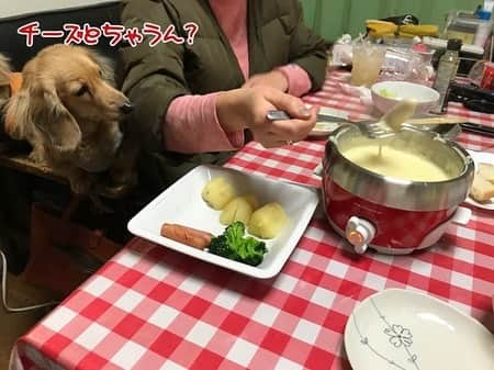 メルロコ一家の楽屋裏のインスタグラム