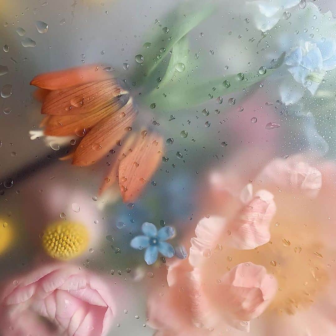 Araksのインスタグラム：「💐 @flowers_esthetique」
